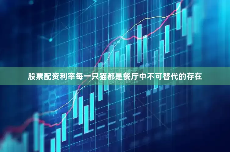 股票配资利率每一只猫都是餐厅中不可替代的存在