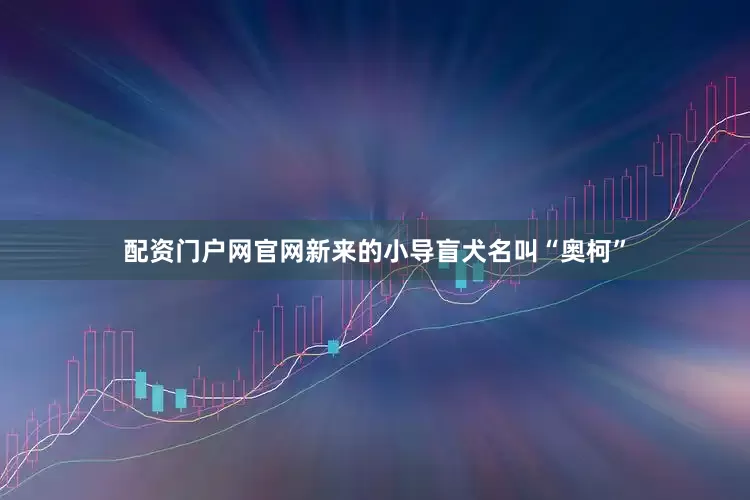 配资门户网官网新来的小导盲犬名叫“奥柯”